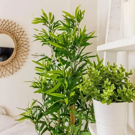 Apartman Gran Via By District Key *